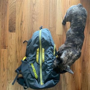 Patagonia Crag Daddy 45L